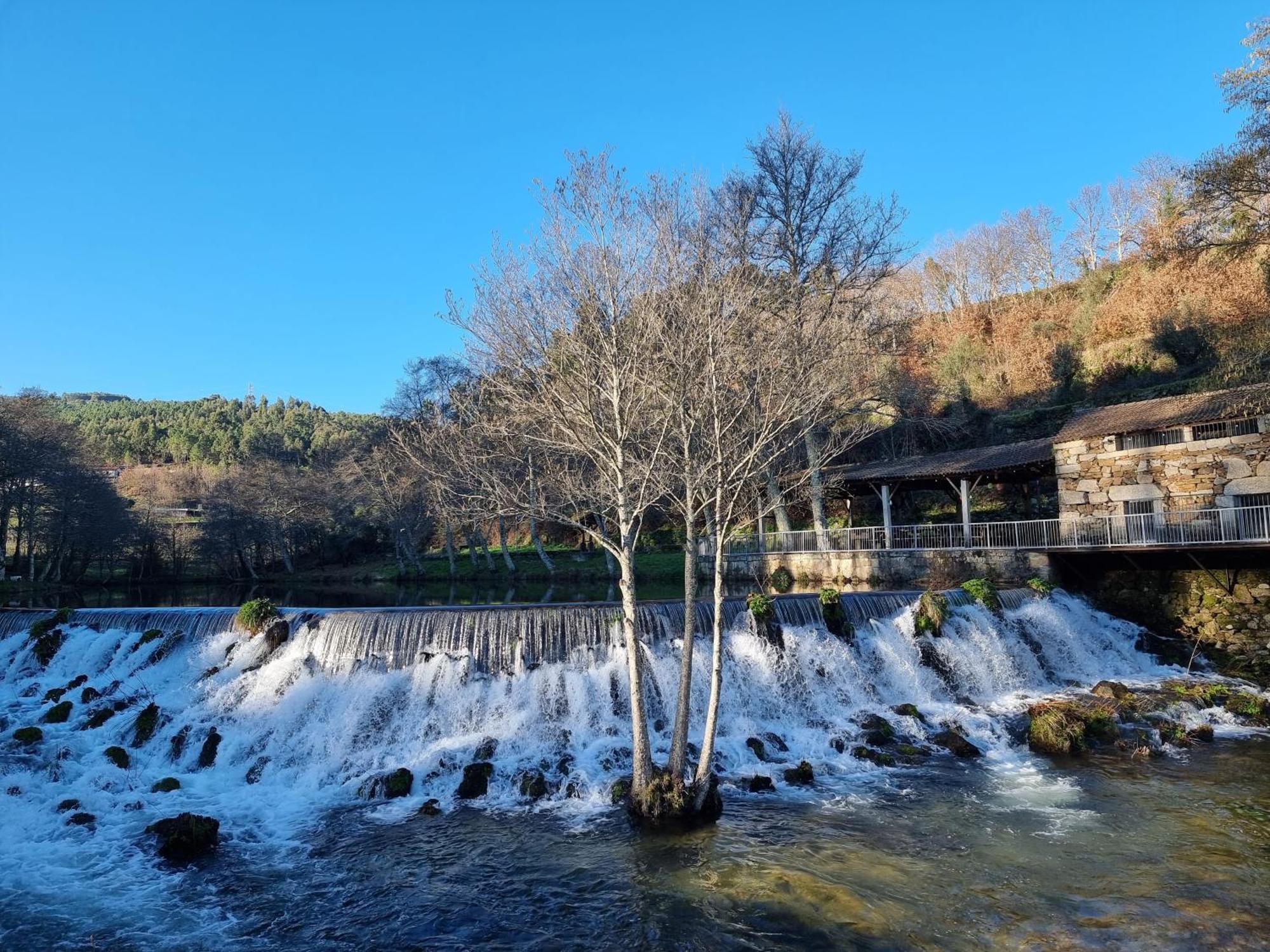 Quinta Da Canda * Cerva